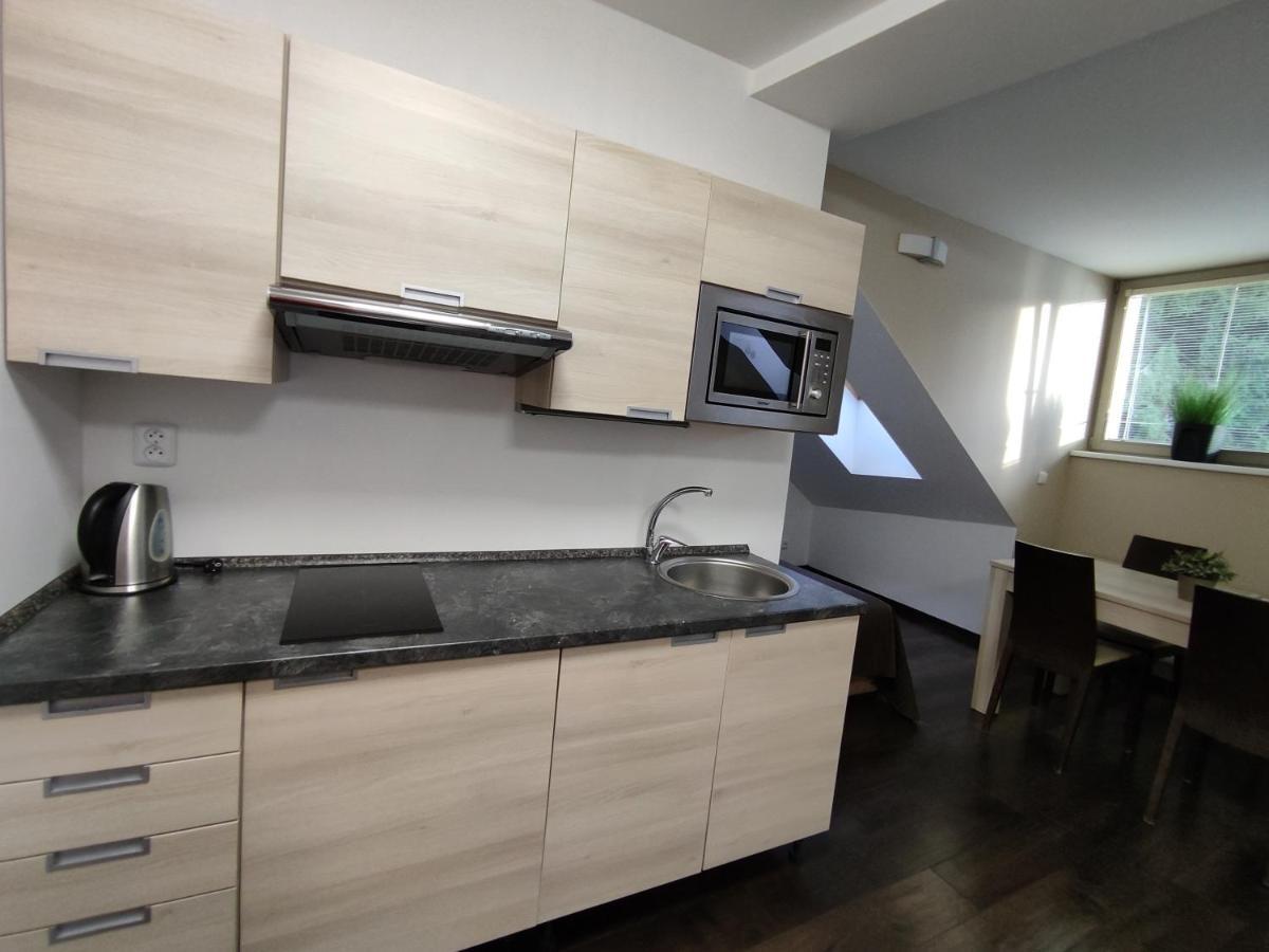 Anensky Apartman C303 - S O2 Tv A Stabilni Rychlou Wifi, S Moznosti Dokoupeni Bufetovych Snidani - By Relax 哈拉霍夫 外观 照片